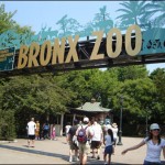 Зоопарк Бронкса, Нью-Йоркский зоопарк (Bronx Zoo)